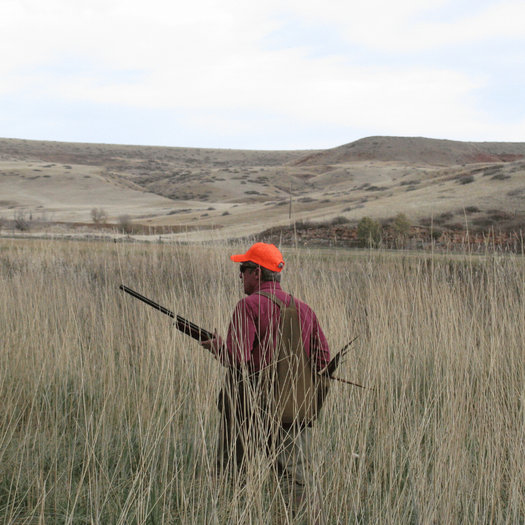 Montana