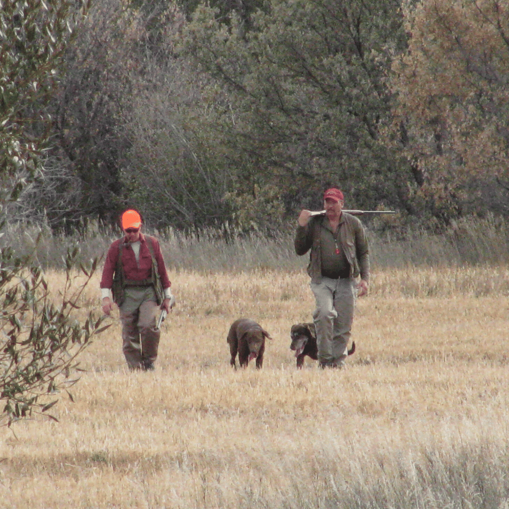 Montana Old Friends